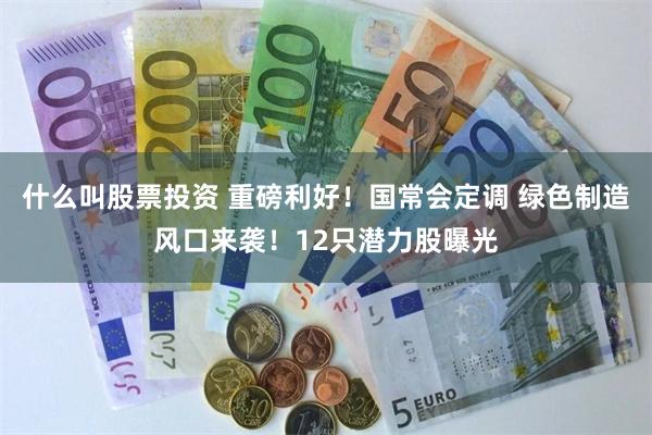 什么叫股票投资 重磅利好！国常会定调 绿色制造风口来袭！12只潜力股曝光