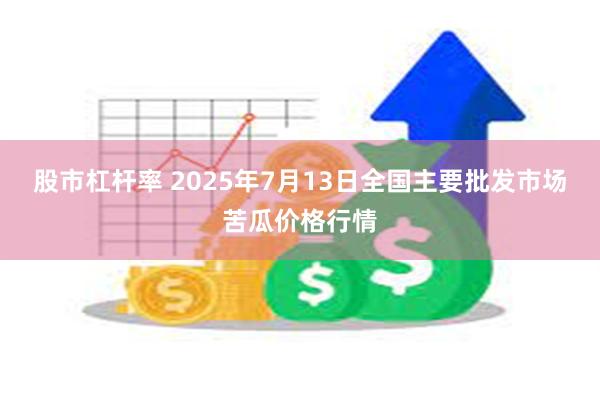 股市杠杆率 2025年7月13日全国主要批发市场苦瓜价格行情
