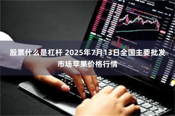 股票什么是杠杆 2025年7月13日全国主要批发市场苹果价格行情