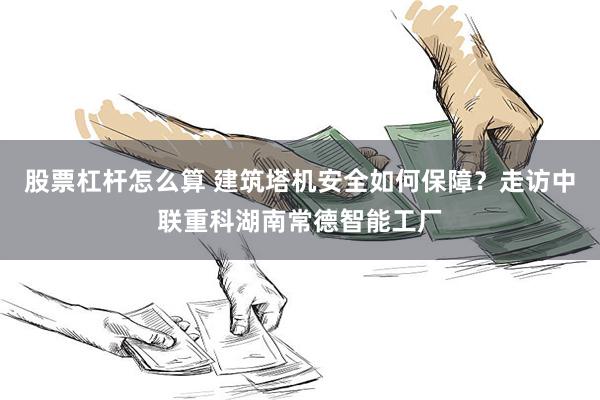 股票杠杆怎么算 建筑塔机安全如何保障？走访中联重科湖南常德智能工厂