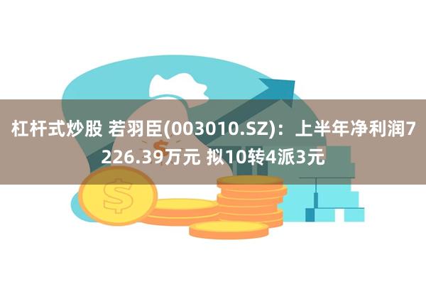 杠杆式炒股 若羽臣(003010.SZ)：上半年净利润7226.39万元 拟10转4派3元